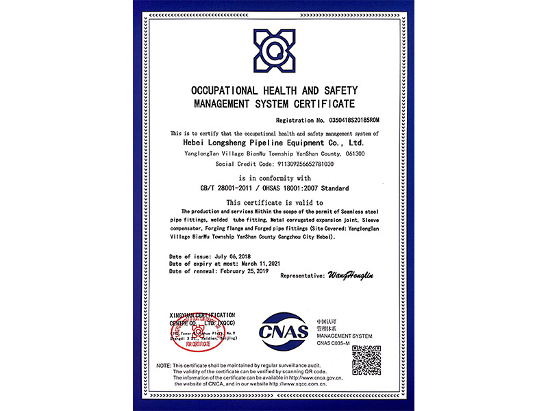 Occupational health and safety management system certification